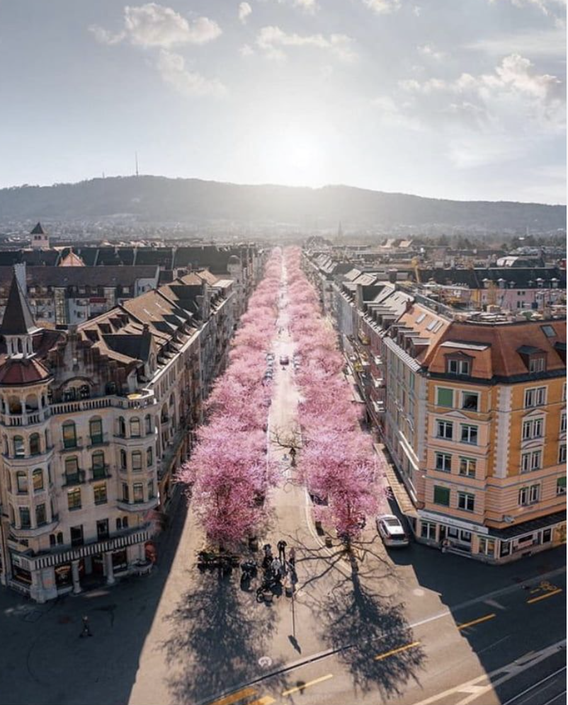 Spring in Zurich